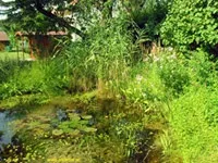 Сад для ледарів