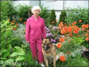 Садок у багатоквартирного будинку (садок) Садок у багатоквартирного будинку