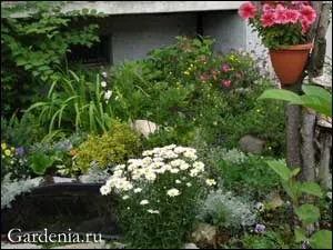 Садок у багатоквартирного будинку (саду сайті Gardenia) Садок у багатоквартирного будинку