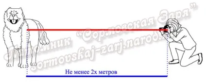 Рус Кайлас - перегляд теми - як правильно фотографувати собак
