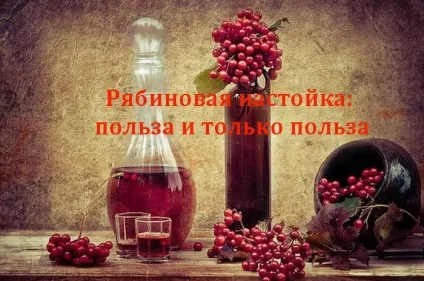 Рябиновая настоянка користь і тільки користь (настоянка) Рябиновая настоянка користь і тільки користь