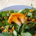 Салат з маринованими опеньками смачні і прості рецепти, грибний сайт (маринованими) Салат з маринованими опеньками смачні і прості рецепти, грибний сайт
