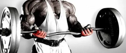 Найкращі вправи на грудні м'язи огляд, опис і ефективність (грудні) Найкращі вправи на грудні м'язи огляд, опис і ефективність