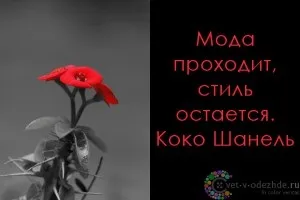 Чоботи-козаки для сексуальної простушки! (Образи з козаками) Чоботи-козаки для сексуальної простушки!