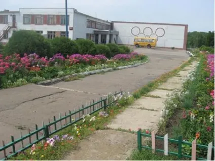 Сайт МОУ - Дубовская середня загальноосвітня школа - ландшафтний дизайн (верхній грунт глибину) Сайт МОУ - Дубовская середня загальноосвітня школа - ландшафтний дизайн