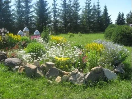 Сайт МОУ - Дубовская середня загальноосвітня школа - ландшафтний дизайн (верхній грунт глибину) Сайт МОУ - Дубовская середня загальноосвітня школа - ландшафтний дизайн