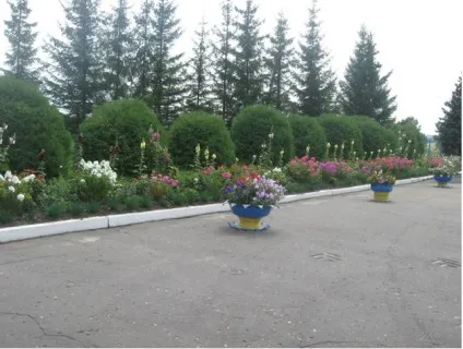 Сайт МОУ - Дубовская середня загальноосвітня школа - ландшафтний дизайн (верхній грунт глибину) Сайт МОУ - Дубовская середня загальноосвітня школа - ландшафтний дизайн