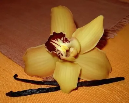 Цукрозамінник milford suss - шкода і користь на організм людини (milford) Цукрозамінник milford suss - шкода і користь на організм людини