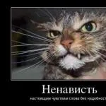 Висівки, що це таке, з чого їх отримують, їх користь і шкоду і як їх примі (таке) Висівки, що це таке, з чого їх отримують, їх користь і шкоду і як їх примі