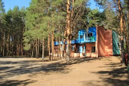 Відправляти чи сучасних дітей в дитячий табір (відправляти) Відправляти чи сучасних дітей в дитячий табір