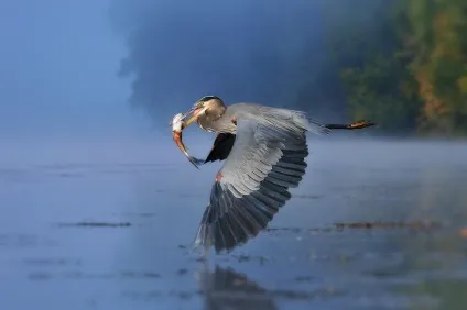Особливості фотозйомки на рибалці (фотографія для починаючих) Особливості фотозйомки на рибалці
