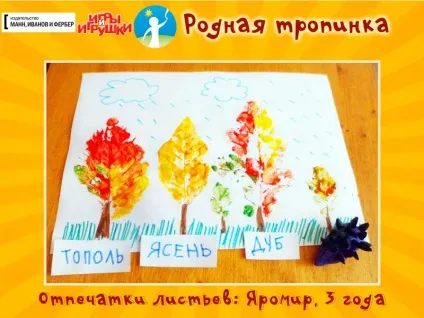 Відбитки листя на папері