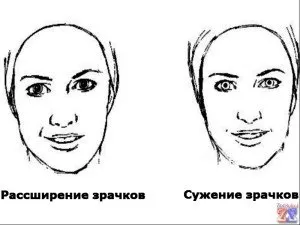 З чим пов'язані розширені зіниці у дитини або дорослого (розширені) З чим пов'язані розширені зіниці у дитини або дорослого