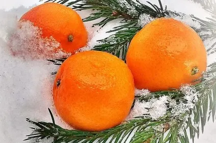 Секрети приготування компотів з мандаринів (води можна приготувати) Секрети приготування компотів з мандаринів