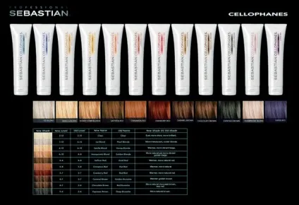Sebastian professional