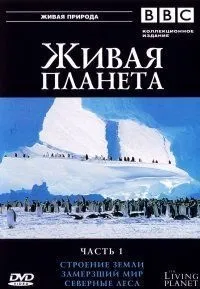 Серіал Ричард Хаммонд як побудувати планету 1-2 серія 2013 дивитися онлайн в hd 720 безкоштовно в (дивовижний) Серіал Ричард Хаммонд як побудувати планету 1-2 серія 2013 дивитися онлайн в hd 720 безкоштовно в