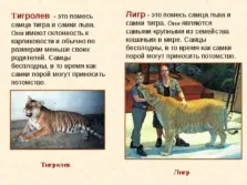 Селекція тварин - презентація (методи) (тварин) Селекція тварин - презентація (методи)