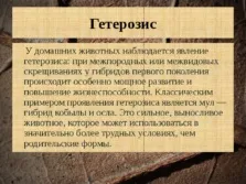 Селекція тварин - презентація (методи) (часом можуть приносити потомство) Селекція тварин - презентація (методи)