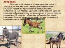 Селекція тварин - презентація (методи) (часом можуть приносити) Селекція тварин - презентація (методи)
