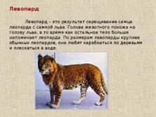 Селекція тварин - презентація (методи) (самки часом можуть) Селекція тварин - презентація (методи)