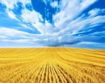 Сірка - повітря для рослин - або як отримати хороший урожай, agro2b (сірка) Сірка - повітря для рослин - або як отримати хороший урожай, agro2b