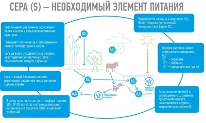Сірка - повітря для рослин - або як отримати хороший урожай, agro2b (рослин) Сірка - повітря для рослин - або як отримати хороший урожай, agro2b