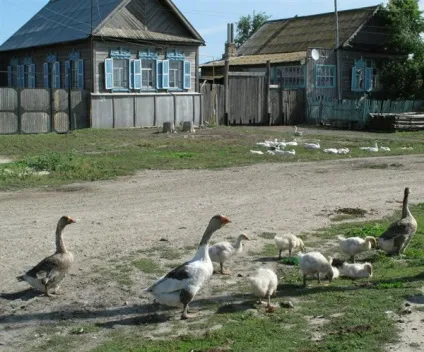 Селяни в депресії чому жителі кубанських селищ їдуть в міста, суспільство, АіФ Житомир (жителі) Селяни в депресії чому жителі кубанських селищ їдуть в міста, суспільство, АіФ Житомир