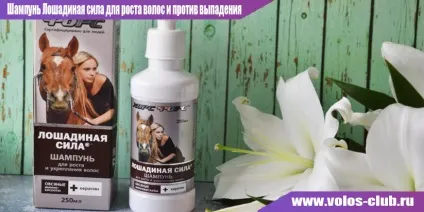 Шампунь «кінська сила» »для росту волосся, відгуки проти випадіння (шампунь) Шампунь «кінська сила» »для росту волосся, відгуки проти випадіння