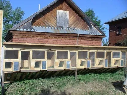 Шедовими система утримання кролів (шедовими зміст кроликів креслення шедів для кроликів) Шедовими система утримання кролів