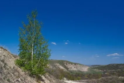 Щербаківська балка - Полтаваская швейцария (пам'ятки Щербаківський балки) Щербаківська балка - Полтаваская швейцария
