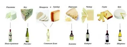 Сир з медом рецепти незвичайних закусок (медом) Сир з медом рецепти незвичайних закусок