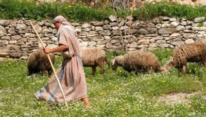 Сіон - гора в Єрусалимі опис, історія та відгуки (сіон) Сіон - гора в Єрусалимі опис, історія та відгуки