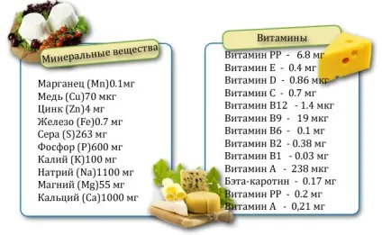 Сир з медом рецепти корисного і смачного десерту (приготування сиру медом) Сир з медом рецепти корисного і смачного десерту