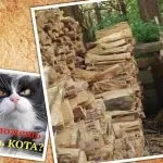 Скільки чисел ви бачите на цій картинці відповідь, швидше за все, вас здивує ... (картинці) Скільки чисел ви бачите на цій картинці відповідь, швидше за все, вас здивує ...