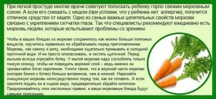 З якого віку можна давати дитині морква (якого) З якого віку можна давати дитині морква