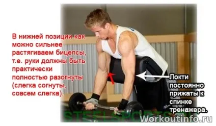 Лава Скотта допоможе зробити біцепс довше - street workout - тренування з власною вагою (розтягуємо біцепс) Лава Скотта допоможе зробити біцепс довше - street workout - тренування з власною вагою