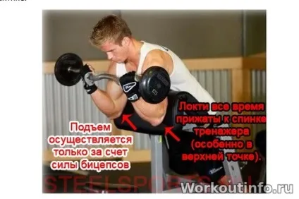 Лава Скотта допоможе зробити біцепс довше - street workout - тренування з власною вагою (біцепси) Лава Скотта допоможе зробити біцепс довше - street workout - тренування з власною вагою