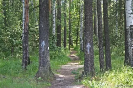 Скелі Петрогр (петра Гронського, ГРОНУ) (Гронського) Скелі Петрогр (петра Гронського, ГРОНУ)