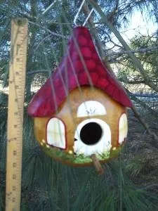 Шпаківню своїми руками дуплянка, дизайнерські ідеї, фото (фото) Шпаківню своїми руками дуплянка, дизайнерські ідеї, фото