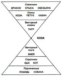 Службові відносини кози