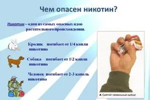 Скільки живуть курці