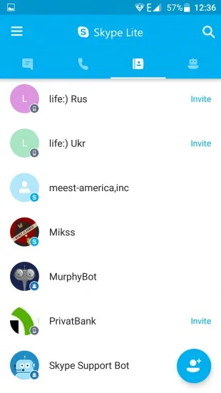 Skype lite
