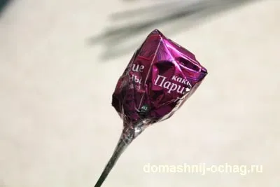 Солодкий букет з цукерок крокуси з цукерок (своїми руками)