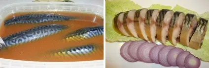Скумбрія маринована в домашніх умовах - прості рецепти приготування з фото (в домашніх умовах) Скумбрія маринована в домашніх умовах - прості рецепти приготування з фото