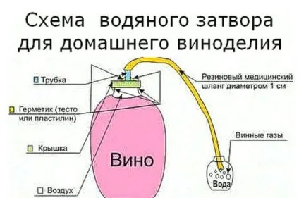 Сливове вино як зробити домашнє вино із сливи (простий рецепт)