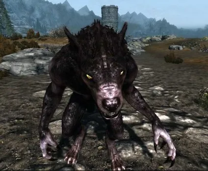 Skyrim, де знайти перевертнів в Скайріме - як стати вервольфом, лікантропія, хірсін (skyrim) Skyrim, де знайти перевертнів в Скайріме - як стати вервольфом, лікантропія, хірсін
