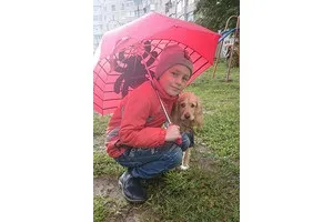 Собака і дитина в одній квартирі за і проти - woman s day (проти) Собака і дитина в одній квартирі за і проти - woman s day