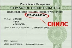 СНІЛС визначення поняття, порядок отримання