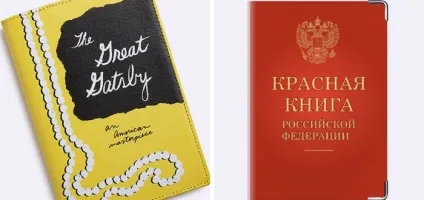 Смішні обкладинки на паспорт жіночі та чоловічі з натуральної шкіри і прозорі - приклади з фото (приклад) Смішні обкладинки на паспорт жіночі та чоловічі з натуральної шкіри і прозорі - приклади з фото