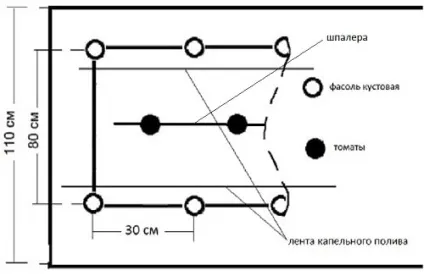Змішані грядки декоративний город (город) Змішані грядки декоративний город